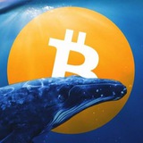 Bitcoin Whale Pumps and Signals