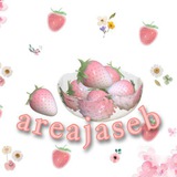 areajaseb | Unsorted