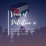 voiceofpalestina | Unsorted