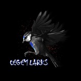 cegeylarksofc | Unsorted