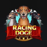 racingdoge | Unsorted