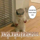 yaoyuripromote | Unsorted