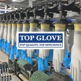 topglove | Unsorted