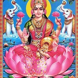 lajjafinancialservices | Unsorted