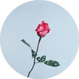 lostwithlove | Unsorted