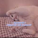 rndmpftt | Unsorted