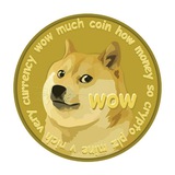 Dogecoin Investors Forum 😍