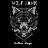 wolfgankofcch | Unsorted