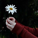 quotesmyhearts | Unsorted