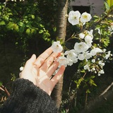 thedakwahjourney | Unsorted