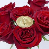 rosesignalvn | Cryptocurrency