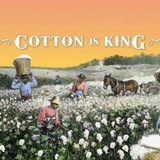 princesscotton | Unsorted