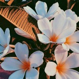 jentikhatiii | Unsorted