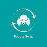 poodleswapbsc | Unsorted