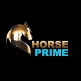 horseprime_web_series | Unsorted