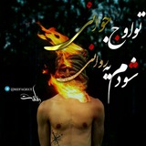 sheikh_zhanklo | Unsorted