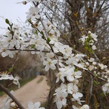 oneminmh | Unsorted