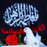alkawthar_channel313 | Unsorted