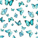 randomusicss | Unsorted