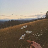 daisywers | Unsorted
