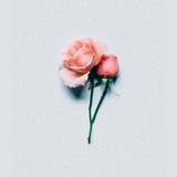 hatiyangkuat | Unsorted