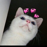 cutepiecat | Unsorted