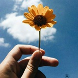 flowermines | Unsorted