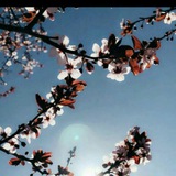 farishshoppp | Unsorted