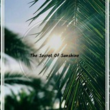 thesecretofsunshine | Unsorted